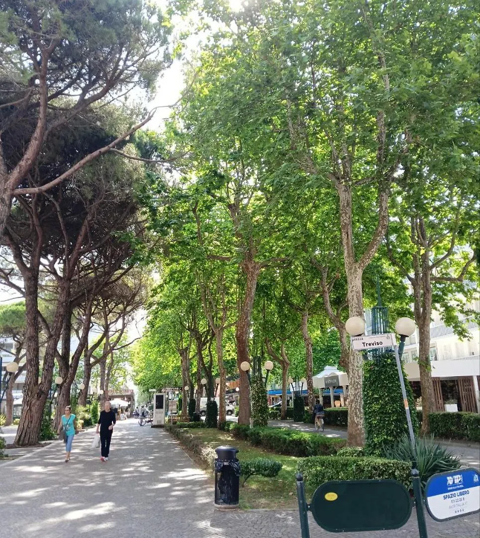 Delfino 19 Apartment Bibione Italy